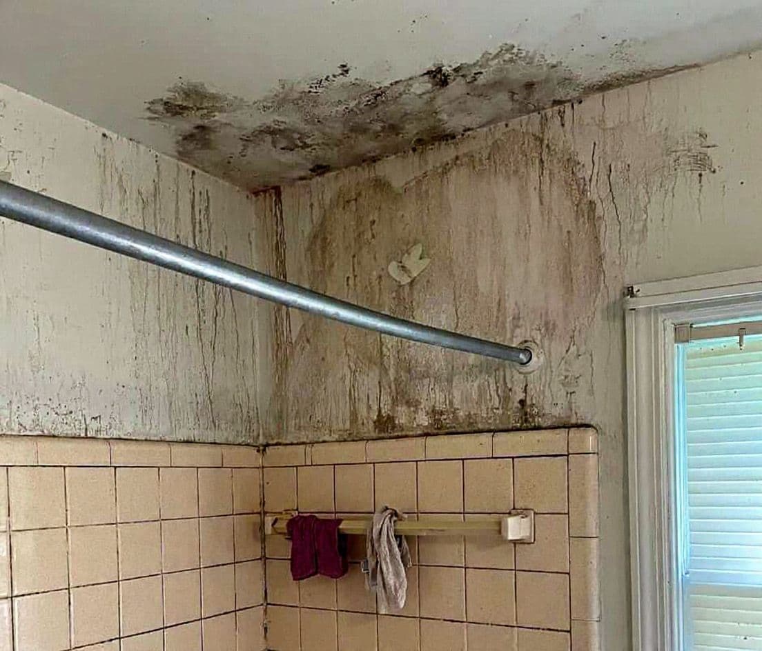 Water damage with dark mold staining across a bathroom ceiling and wall above the tile in a Las Cruces home
