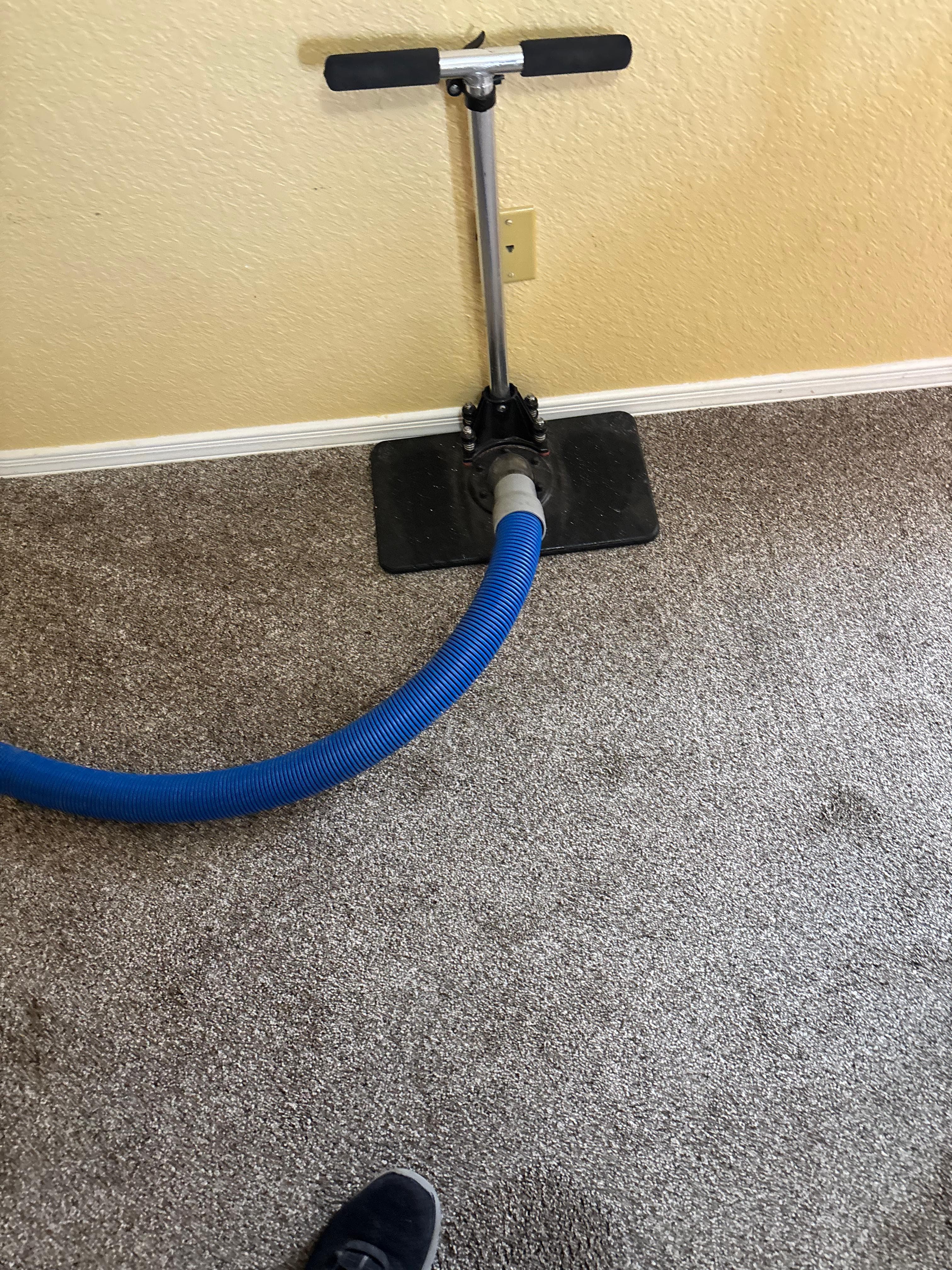 Sub-surface extraction tool and hose on carpet during pet urine treatment in Las Cruces